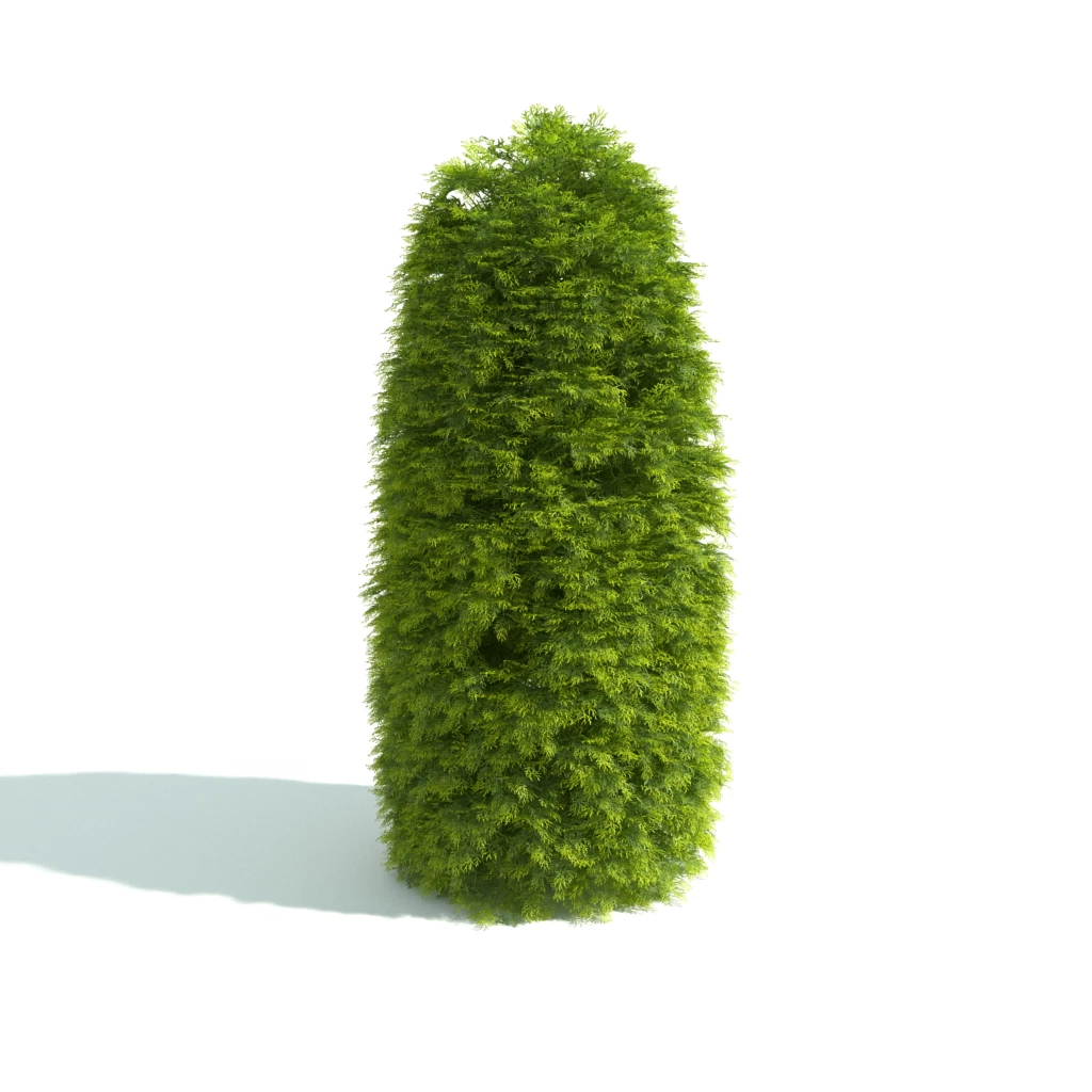 hedges 013 — Скачать