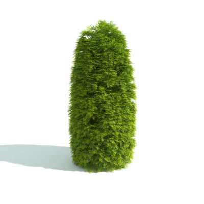 hedges 013 — Скачать