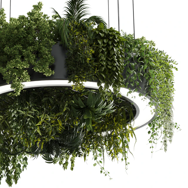 Circle pot light pendant - plant light hanging 13 corona — Descargar
