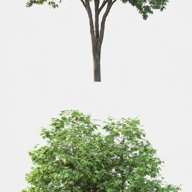 Acer — Descargar