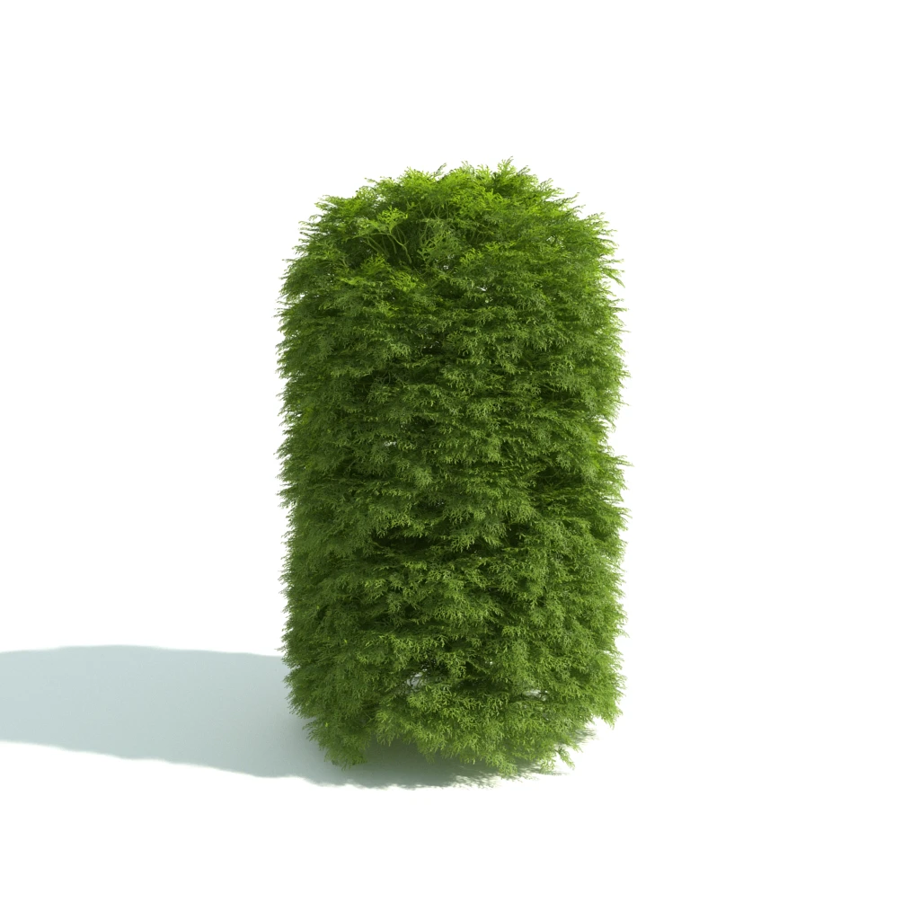 hedges 011 — Download