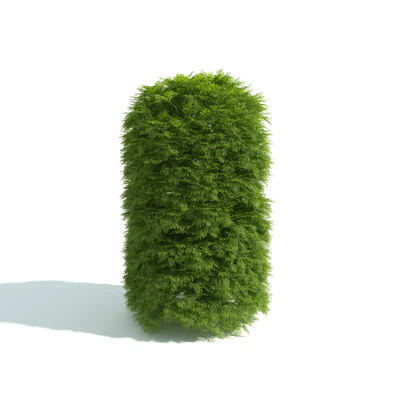 hedges 011 — Download