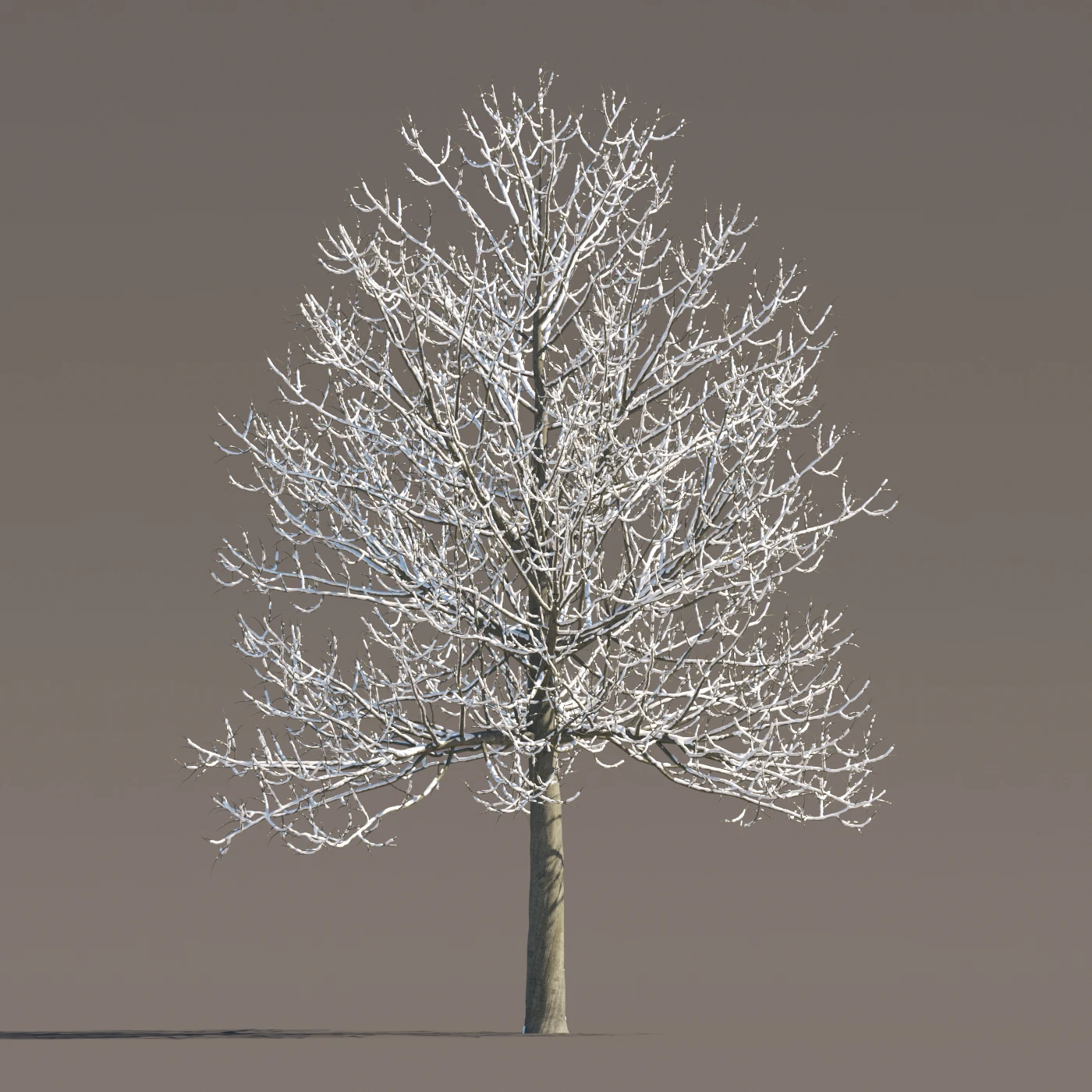 065 winter — Скачать