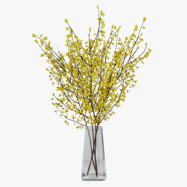 Forsythia 02 — Descargar