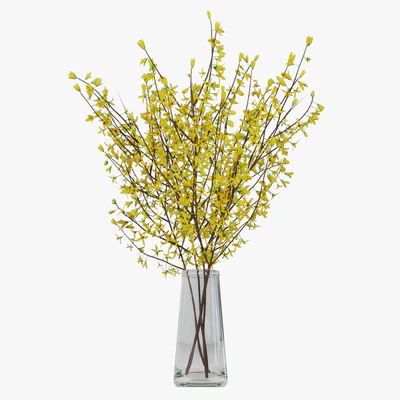 Forsythia 02 — Ver 3