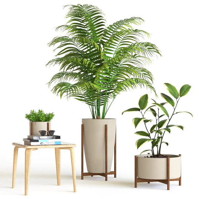 Plant set — Скачать