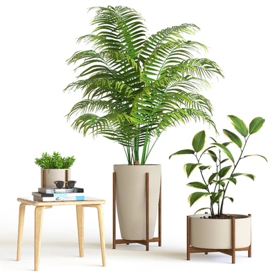 Plant set — Вид 1