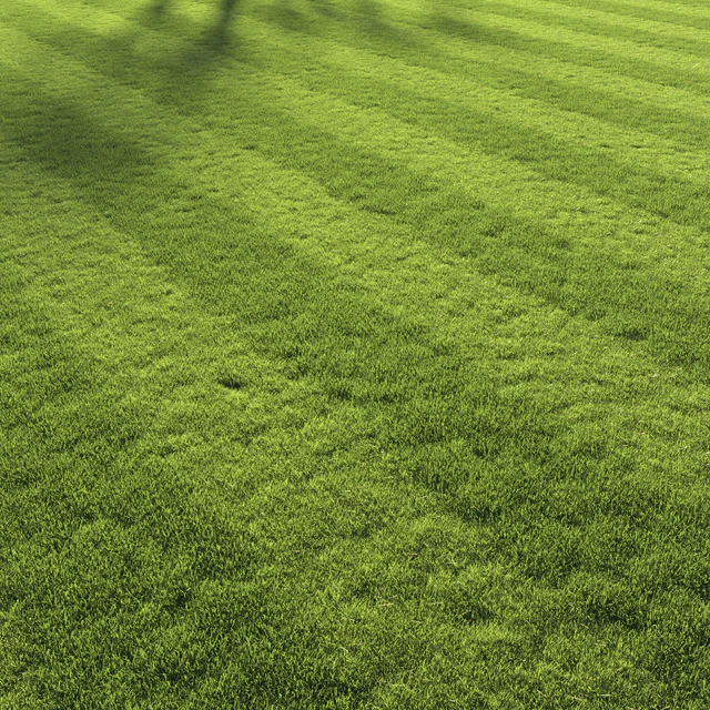 Football pitch lawn — Скачать
