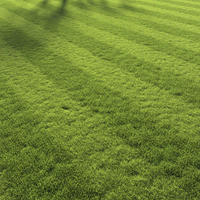Football pitch lawn — Вид 3
