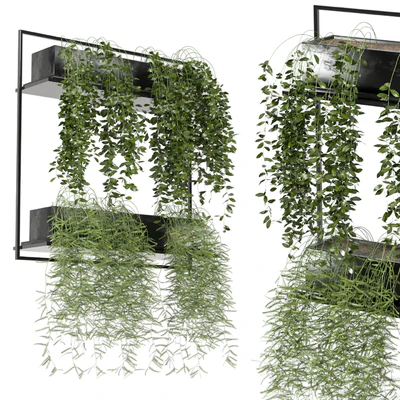 indoor hanging plants in metal box set 142 — Вид 2