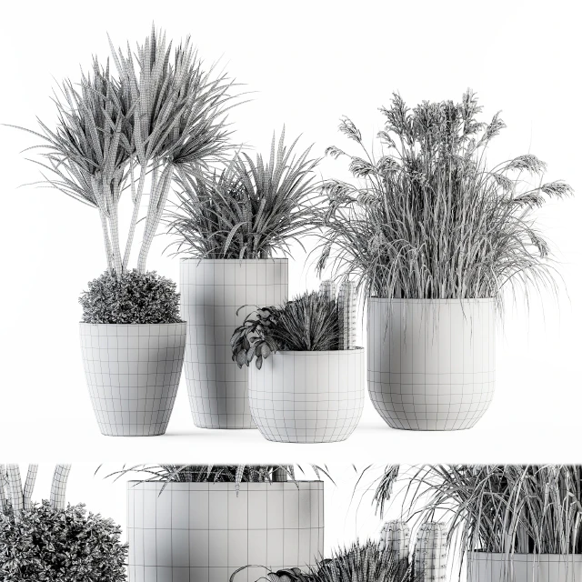 Outdoor Plant Set 233 - Plant in Pot Set — Descargar