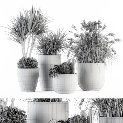Outdoor Plant Set 233 - Plant in Pot Set — Ver 2