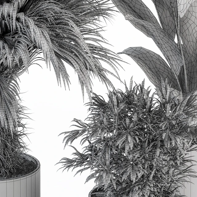 indoor Plant Set 256 - Plant Set in pot — Descargar