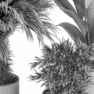 indoor Plant Set 256 - Plant Set in pot — Ver 3
