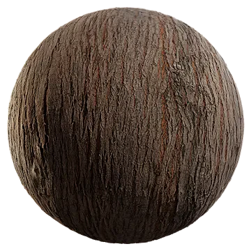 chinaberry bark 001 — Descargar