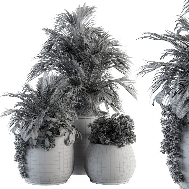 indoor Plant Set 113 - Black Pot — Скачать