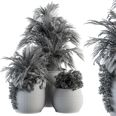 indoor Plant Set 113 - Black Pot — Вид 3