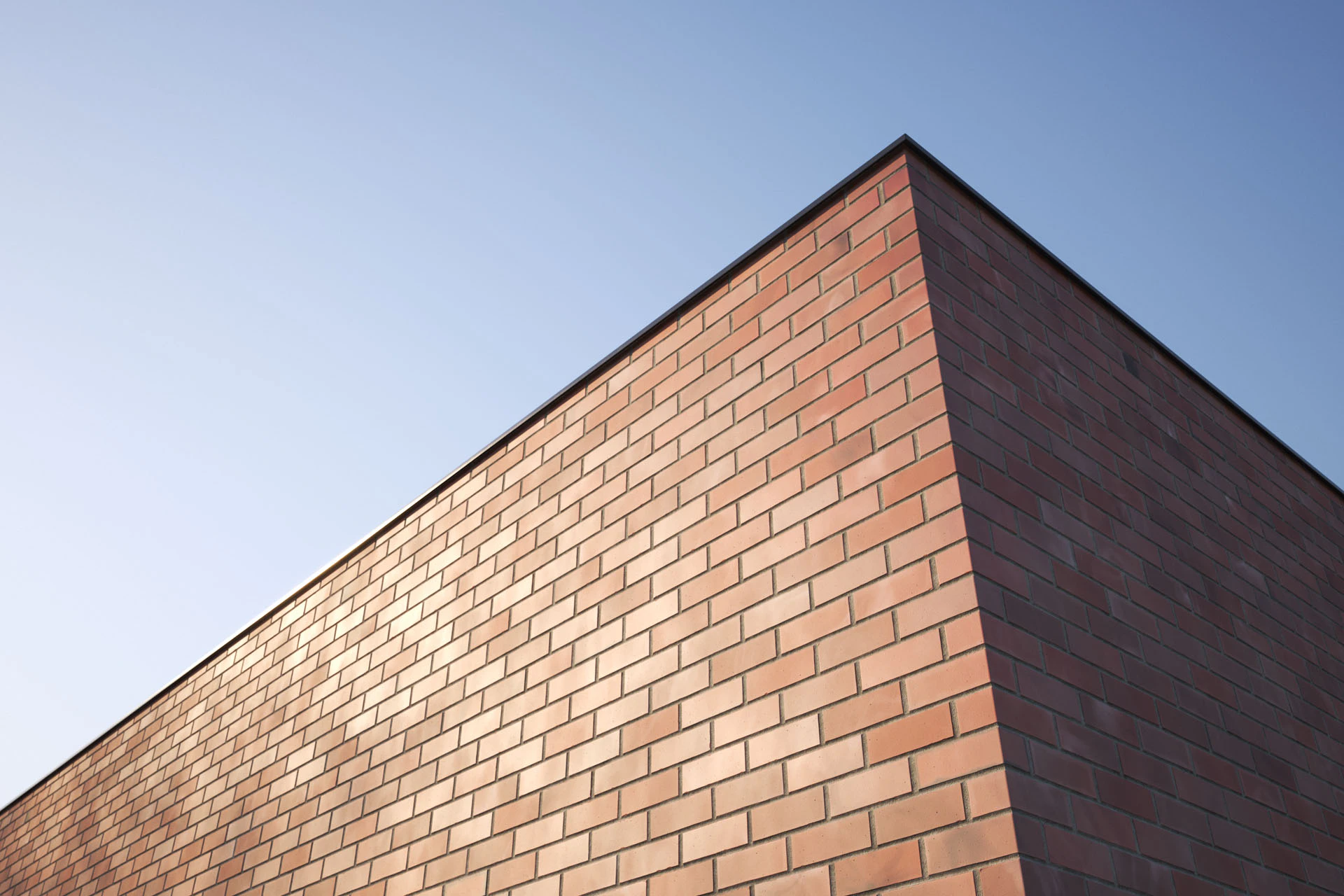 brick 001 — Descargar