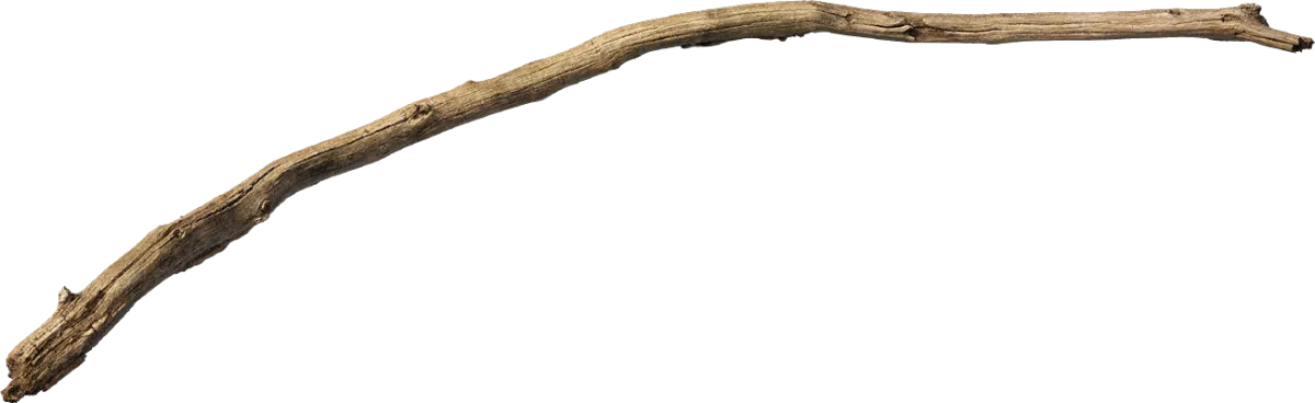 old tree branch 010 — Скачать