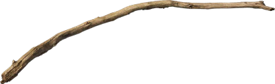 old tree branch 010 — Скачать