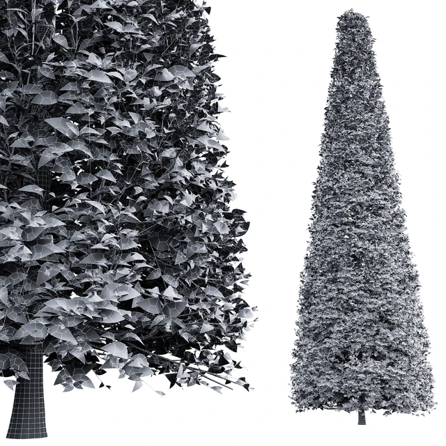 New Tree High detail Carpinus Betulus Broadleaf Conical — Descargar