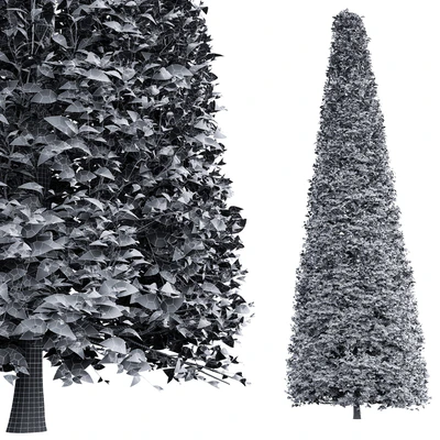 New Tree High detail Carpinus Betulus Broadleaf Conical — Ver 2
