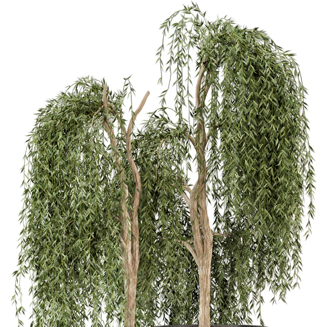 Outdoor Plants bush and Tree in rusty Dark Concrete Pot - Set 52 — Descargar