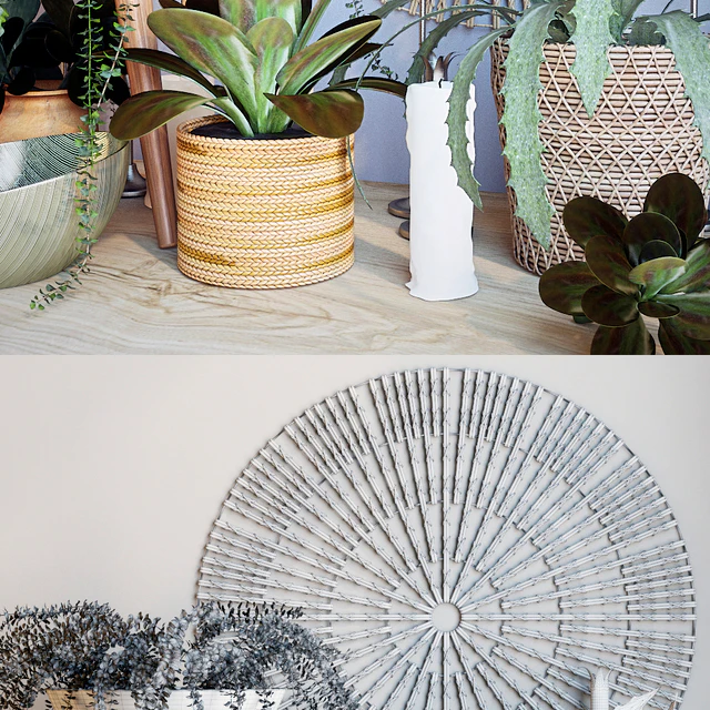 Plant decor set - 1 — Descargar