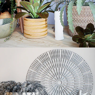 Plant decor set - 1 — Ver 2