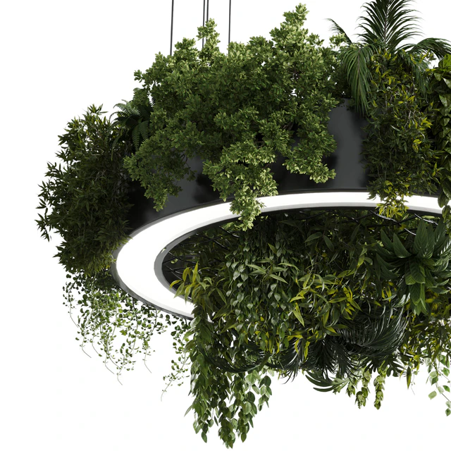 Circle pot light pendant - plant light hanging 13 corona — Descargar
