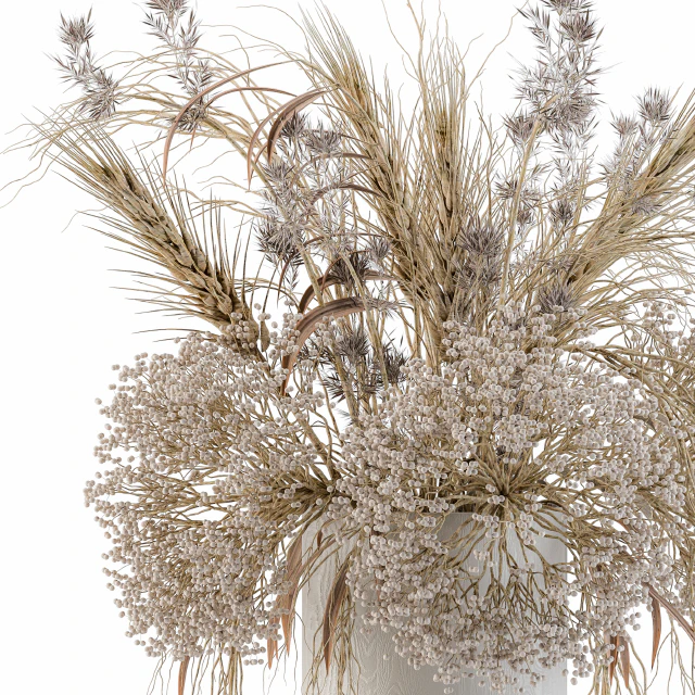 Dry Plants Set 08 — Descargar