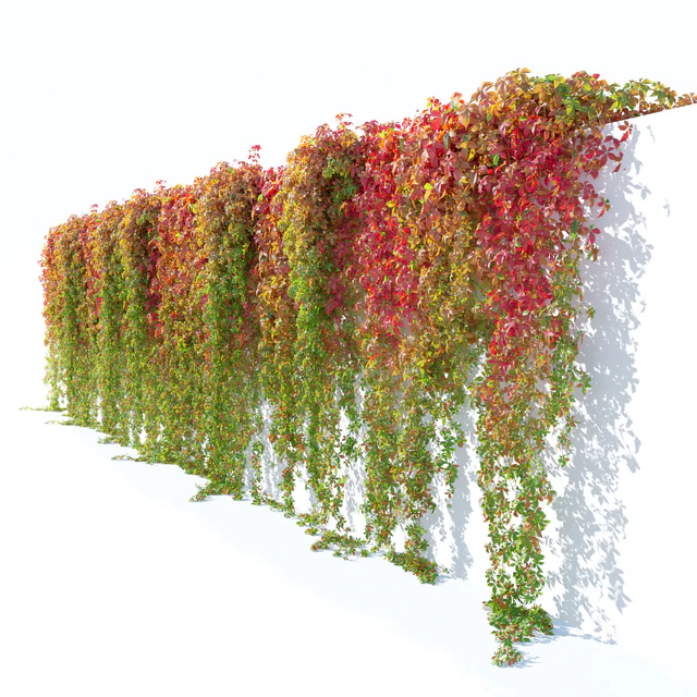 Hanging plant 49 — Download