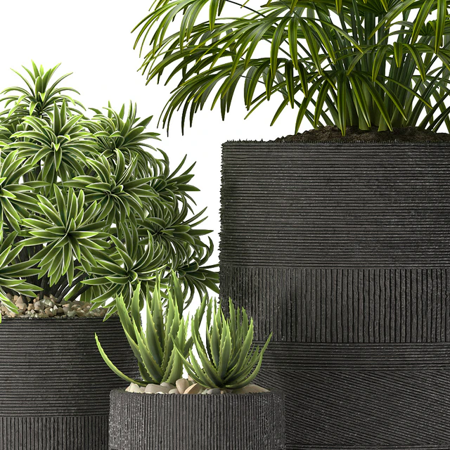 PLANTS 42 — Descargar