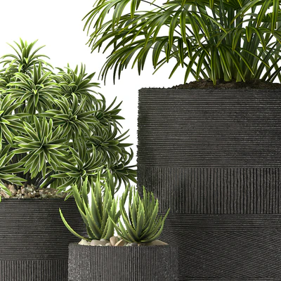 PLANTS 42 — Ver 2