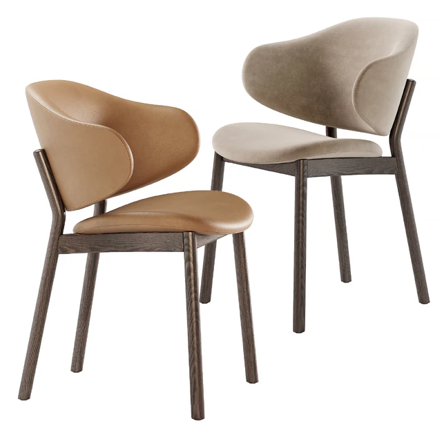 Holly chairs by Calligaris — Скачать