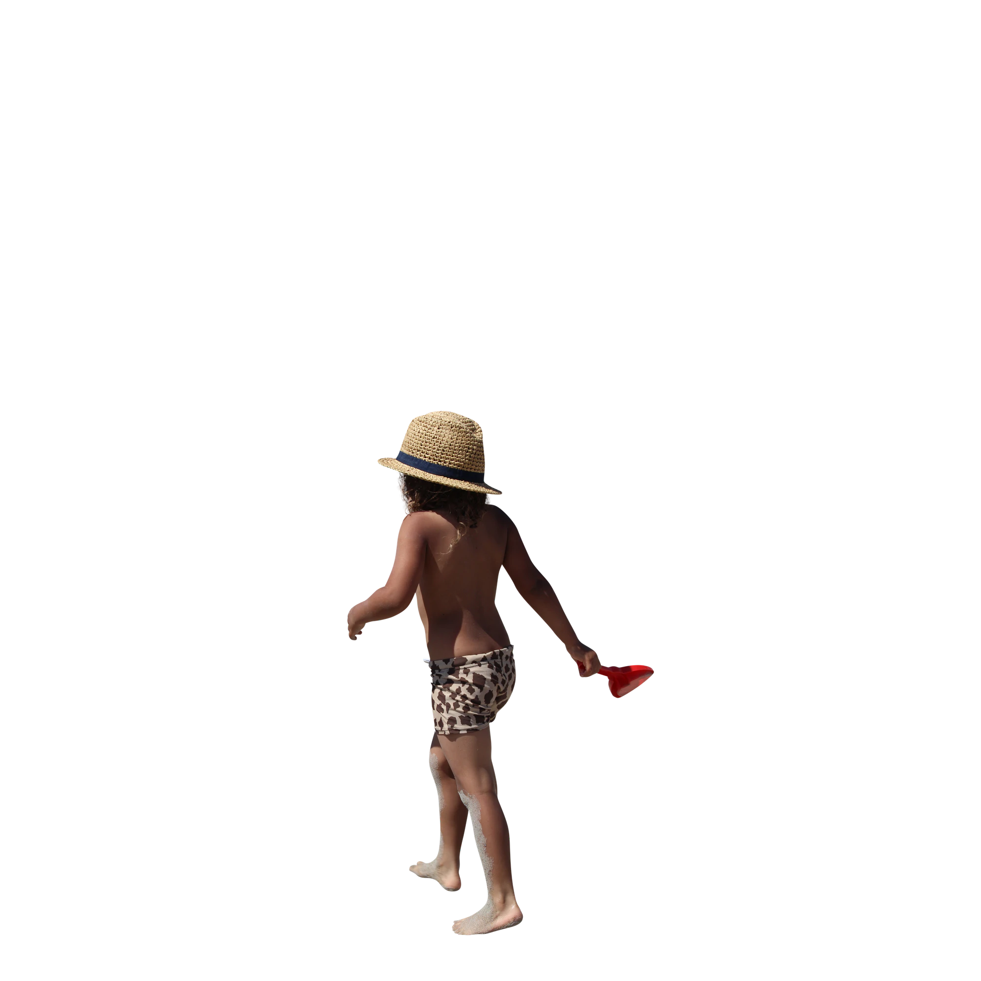 4556 — Скачать