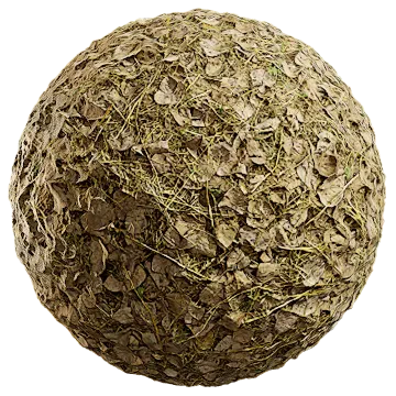 grass dried 061 — Скачать