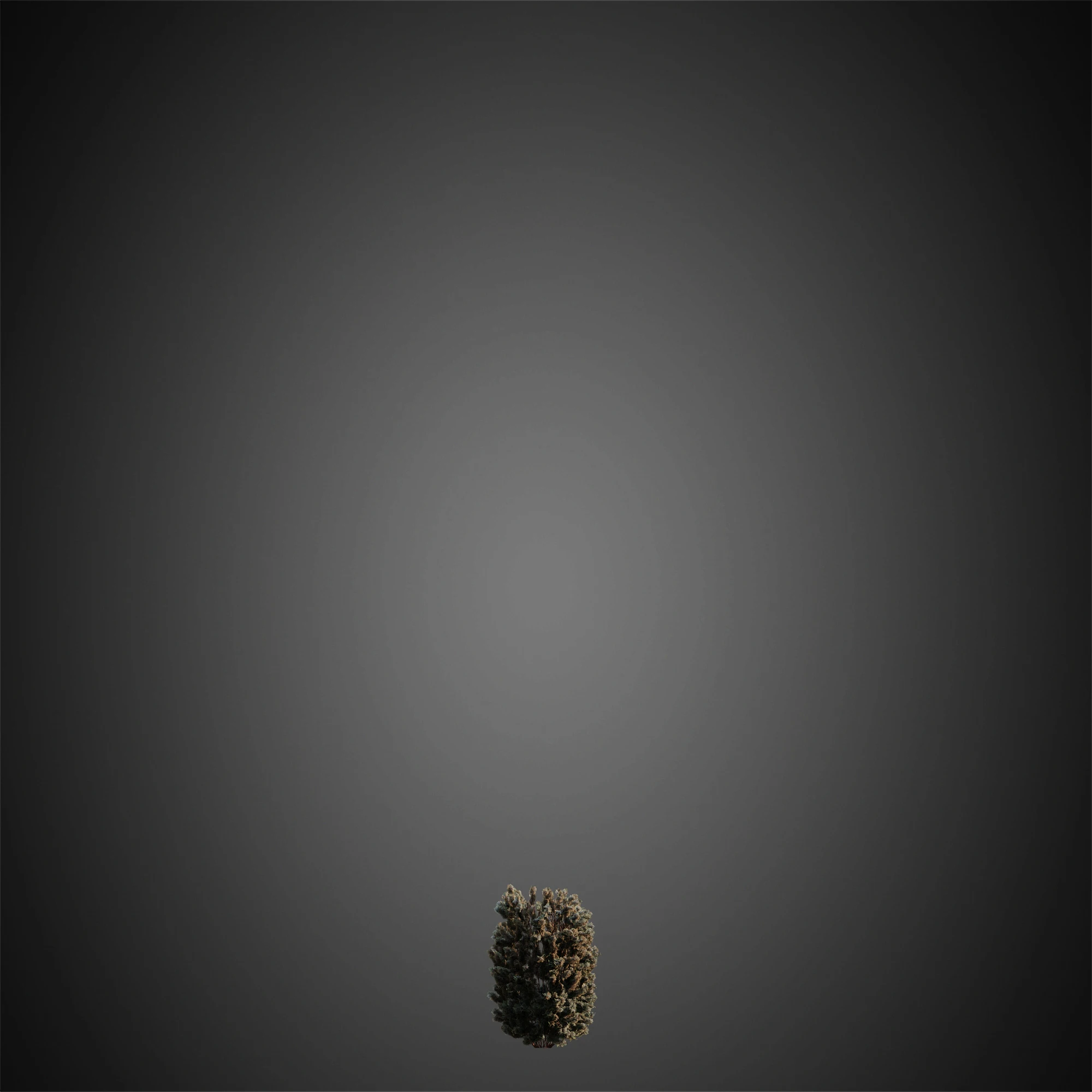 034 — Descargar