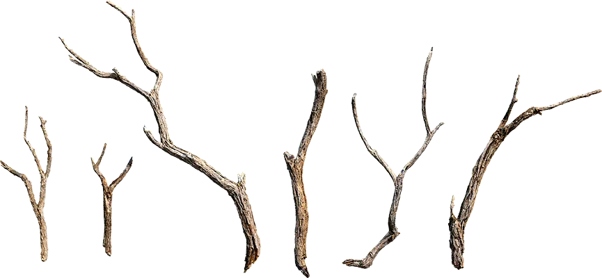 dead branches 002 — Descargar
