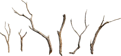 dead branches 002 — Descargar