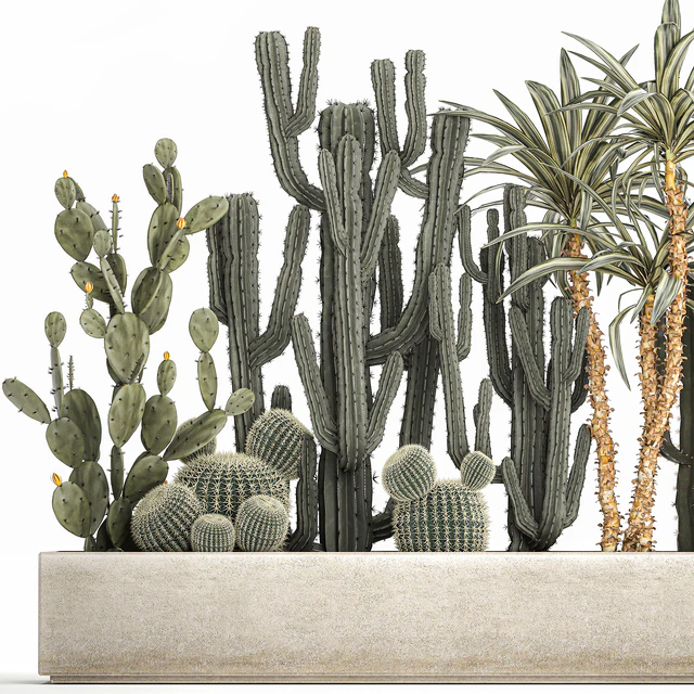 Collection of desert plants in a vase of cacti, prickly pear, Dracaena, carnegie, echinocactus, garden. Set 1096. — Descargar