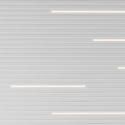 Wall panel. Decorative wall. 2 — Ver 2