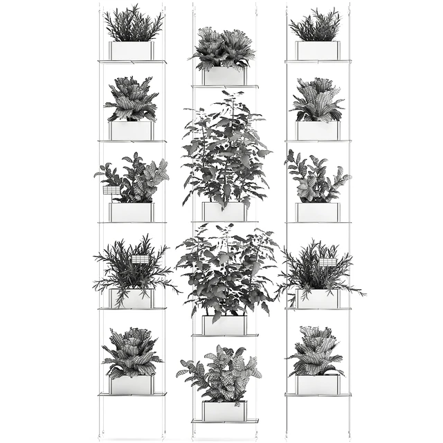 Vertical gardening kitchen garden garden with vegetables, tomatoes, peppers, herbs, lettuce, rosemary. Set 69. — Descargar