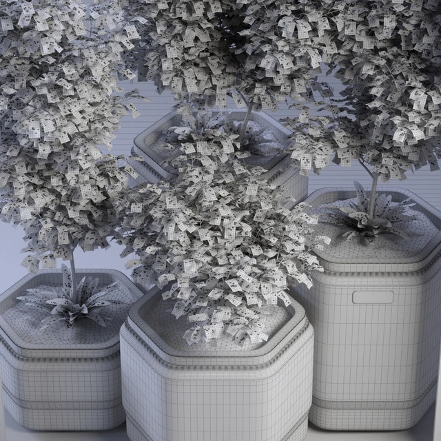 Plants 01 — Descargar