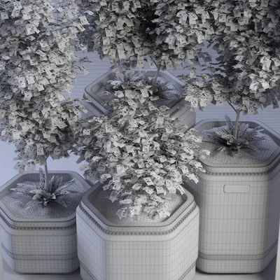 Plants 01 — Ver 2