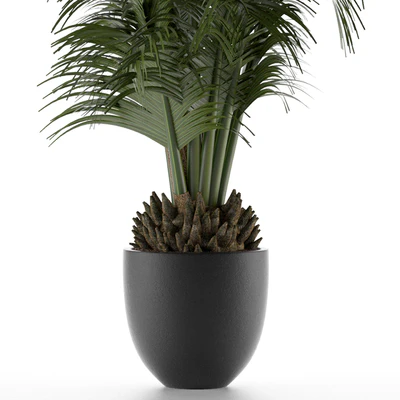 House Plant 30 — Вид 3
