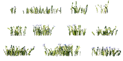matted pratia 001 — Descargar