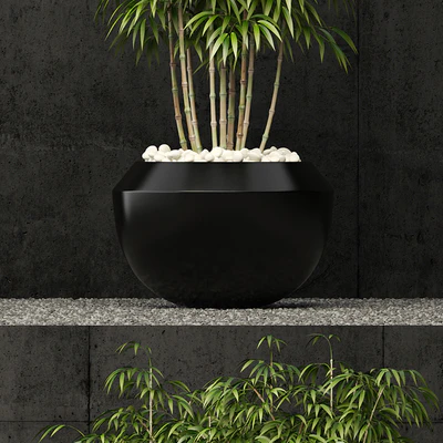 Plants collection 66 — Вид 3