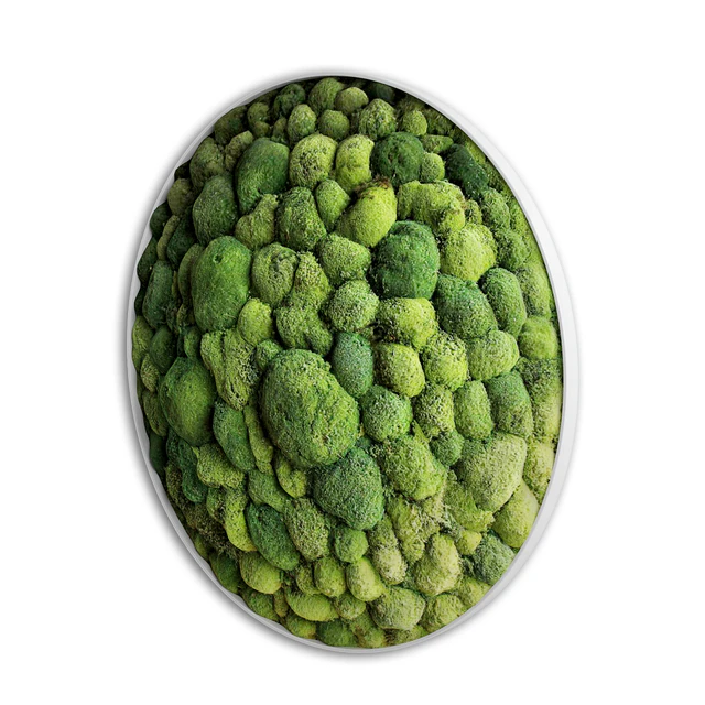 panel moss boulder — Descargar