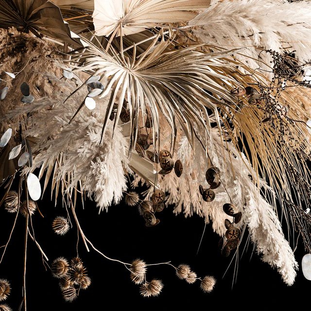 Hanging bouquet of dried flowers, palm branch, pampas grass, dry reeds, lunnik, thorn 270. — Descargar